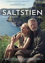 Saltstien